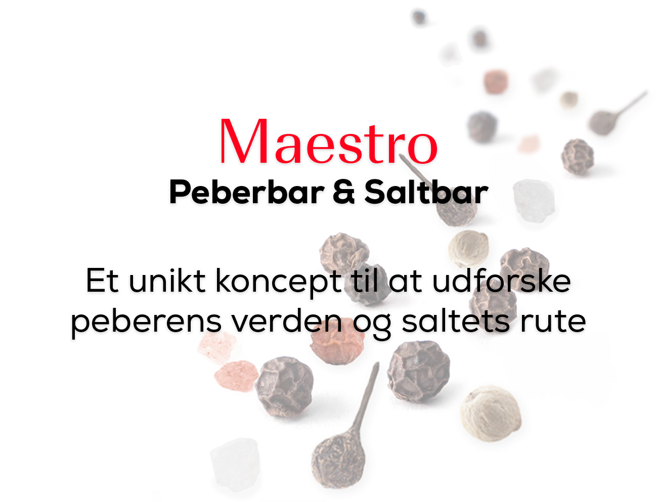 maestro_title_dk