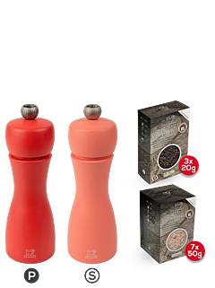 Tahiti Gaveæske Ild - Peugeot Saveurs